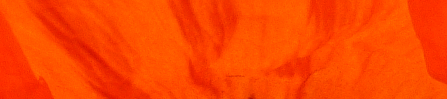 Psychotherapie Mödling: über Andrea Frisch